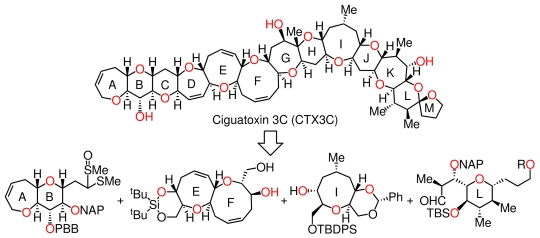 Scheme of Synthetic Plan for Ciguatoxin-3C