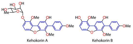 Figure of Kehokorins A and B