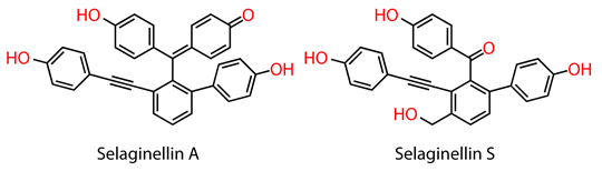 Figure of Selaginellins A and S