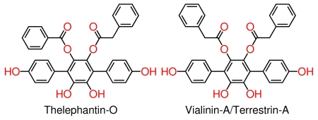 Figure of p-terphenyl natural products