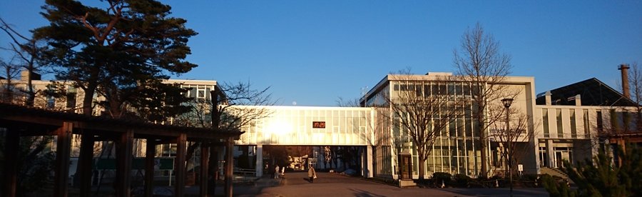 秋田大学